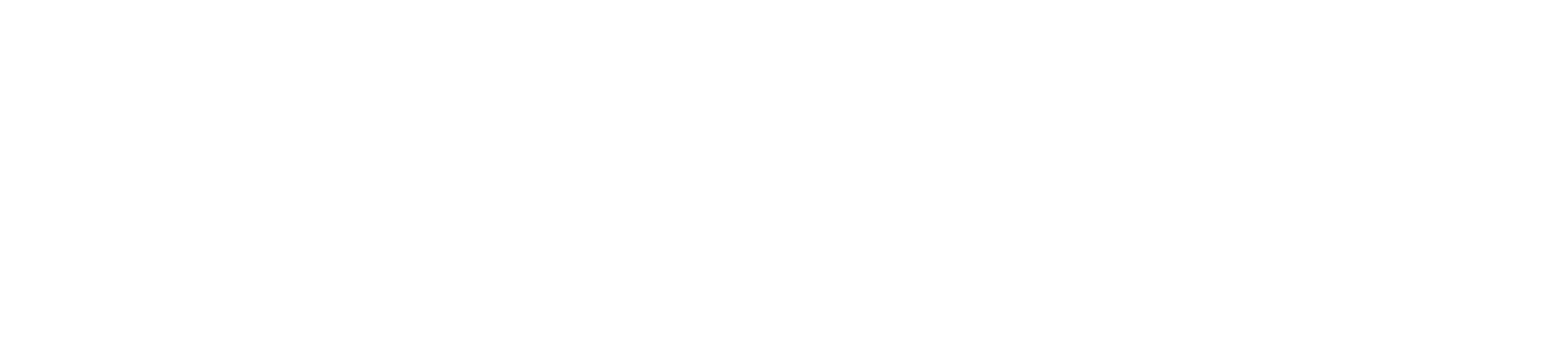 European union logo